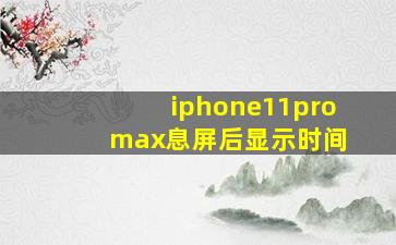 iphone11pro max息屏后显示时间